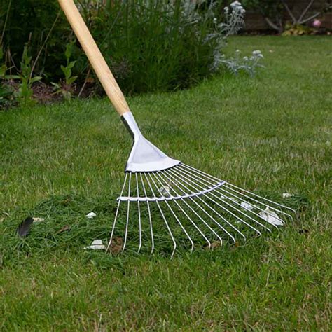 a rake